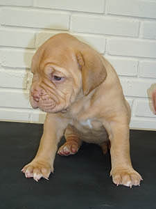 Female 5 - 28 days